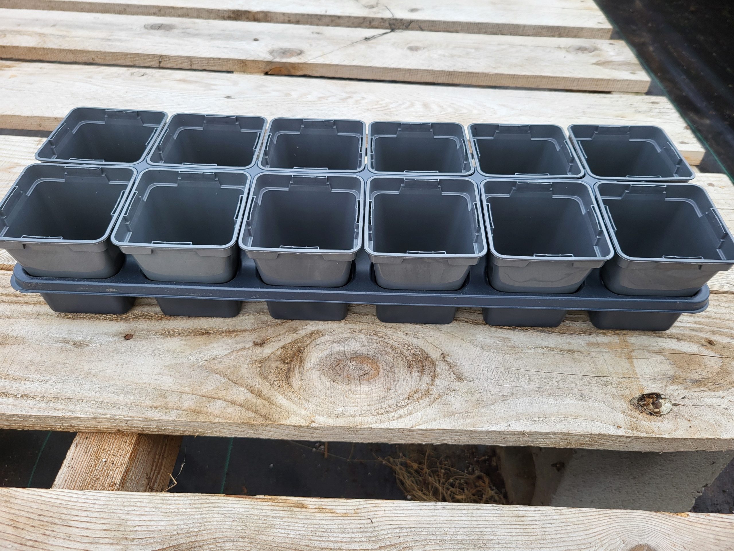 12 pots 0,5L avec plateau