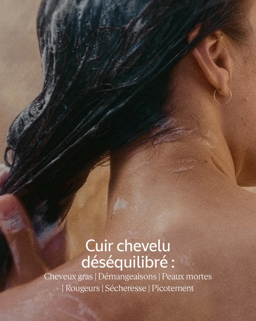 L'Occitane Shampooing Equilibre et Douceur – Image 4