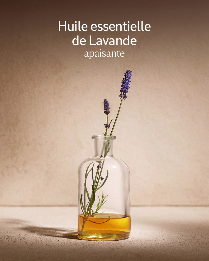 L'Occitane Shampooing Equilibre et Douceur – Image 5