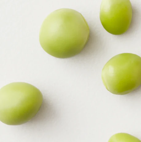 AG CARE - Spray volumateur de racines Bigwigg 284 ml – Image 2