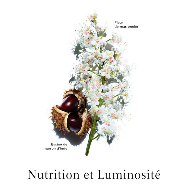 Clarins - Nutri-Lumière Jour – Image 3