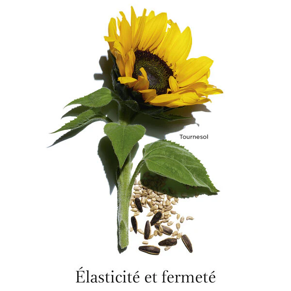 Clarins - Extra-Firming Cou et Décolleté – Image 3