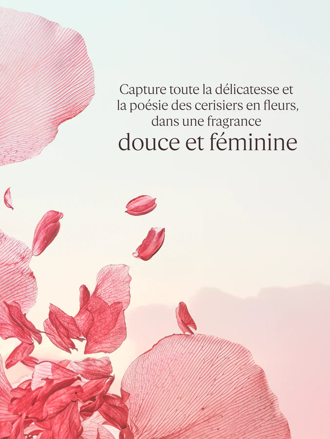 L'Occitane Gel Douche parfumé Fleurs de Cerisier – Image 4