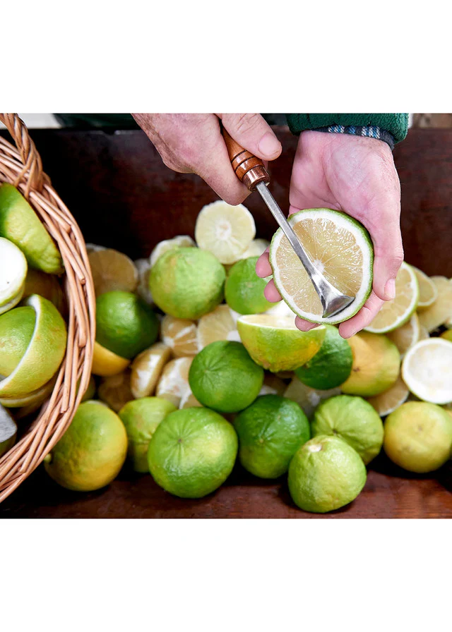 Acqua Di Parma Bergamotto Di Calabria - Eau de toilette (Édition limitée) – Image 7