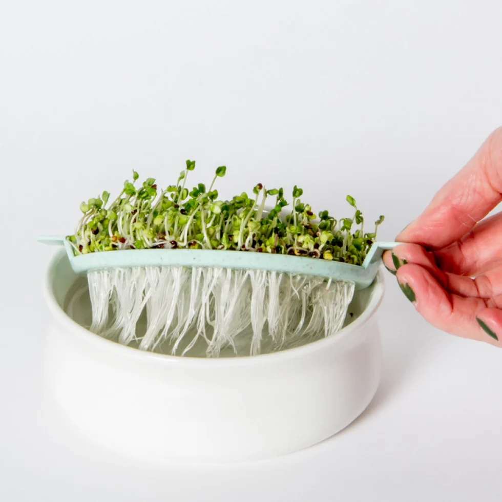 Sandwich Booster sac, pousses – Image 3