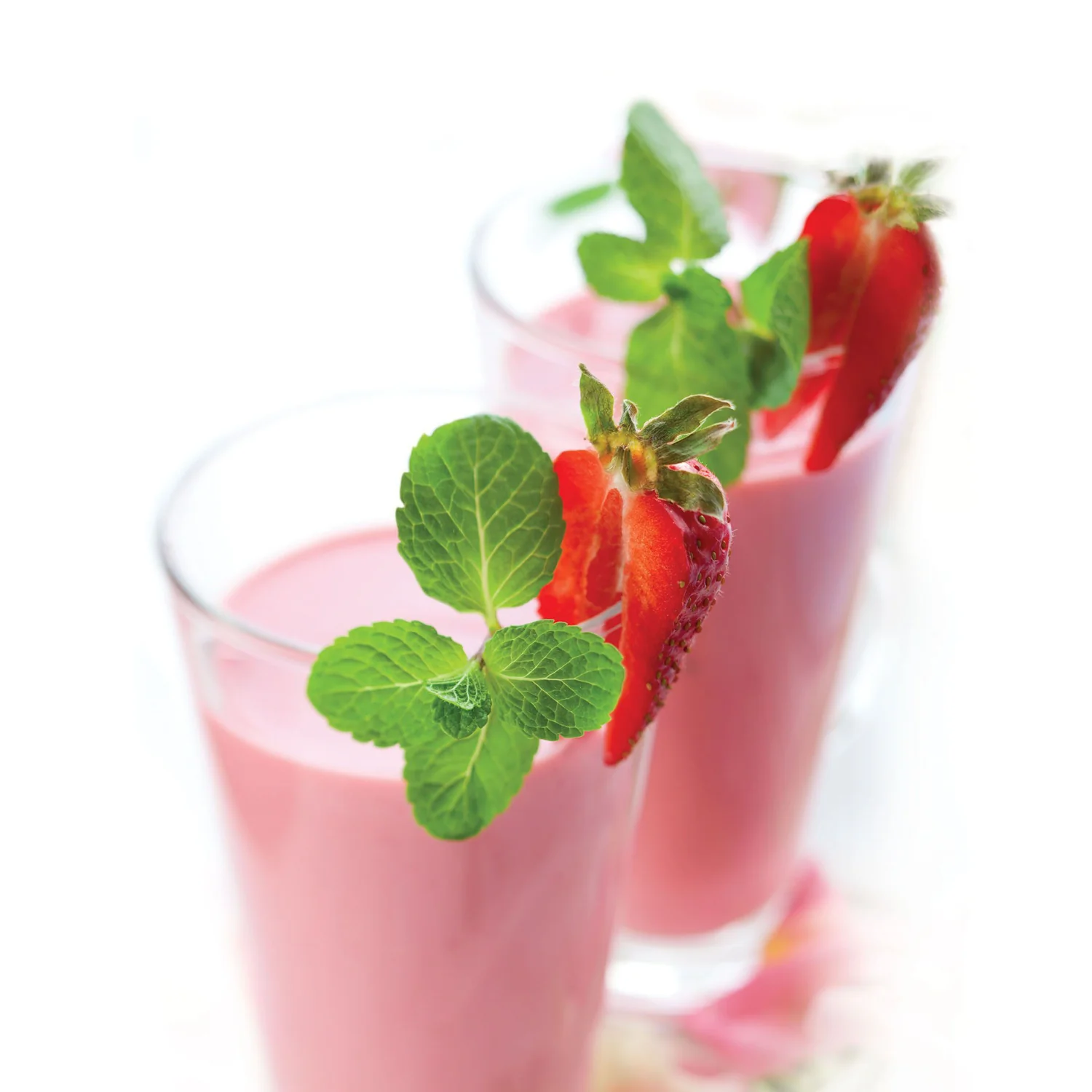 Menthe fraise (plant NON-BIO)