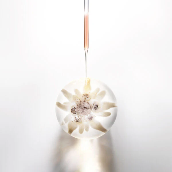 Helena Rubinstein - Prodigy Cellglow Le Cellixir – Image 3