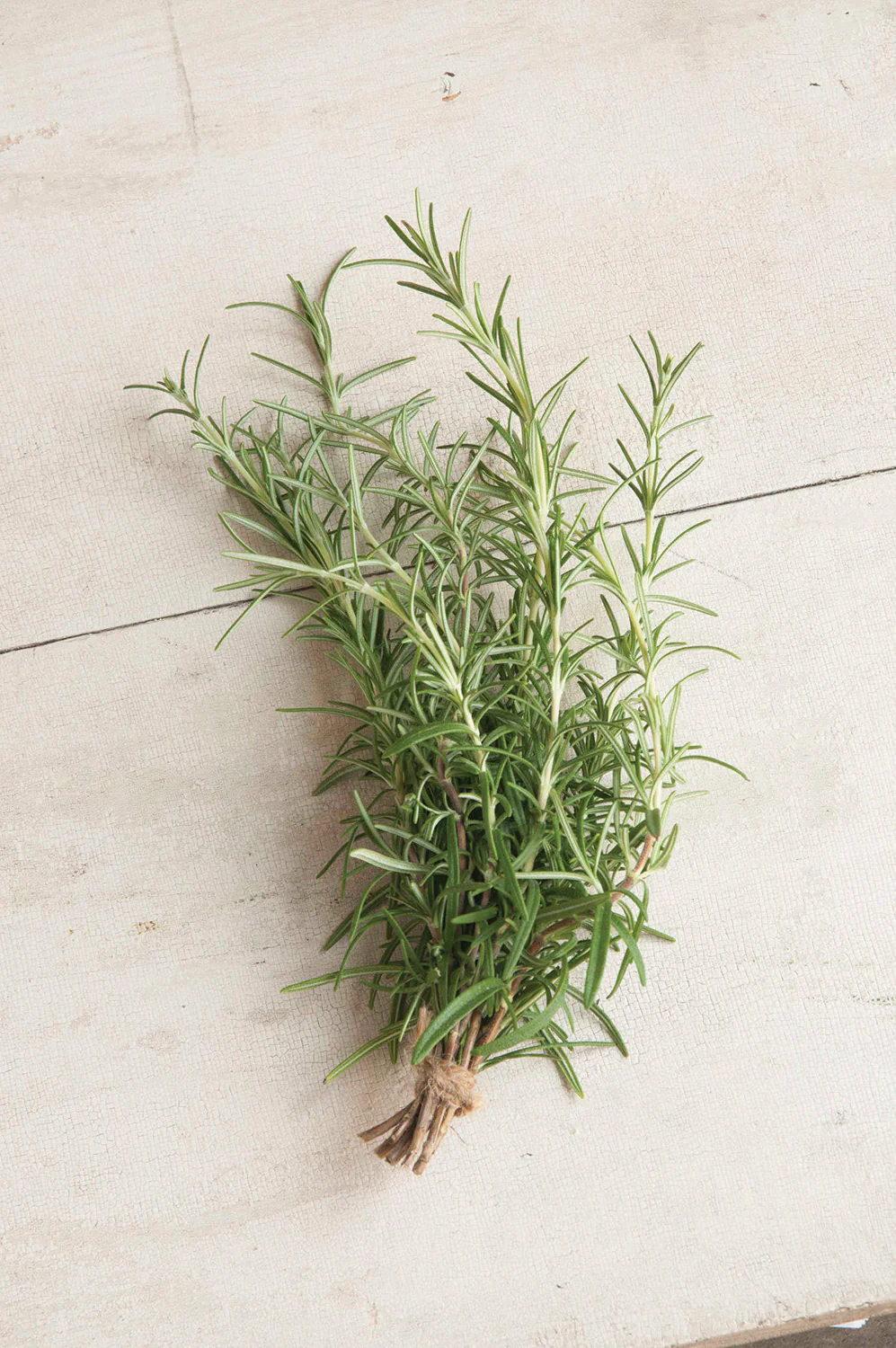 Romarin (plant NON-BIO) – Image 4