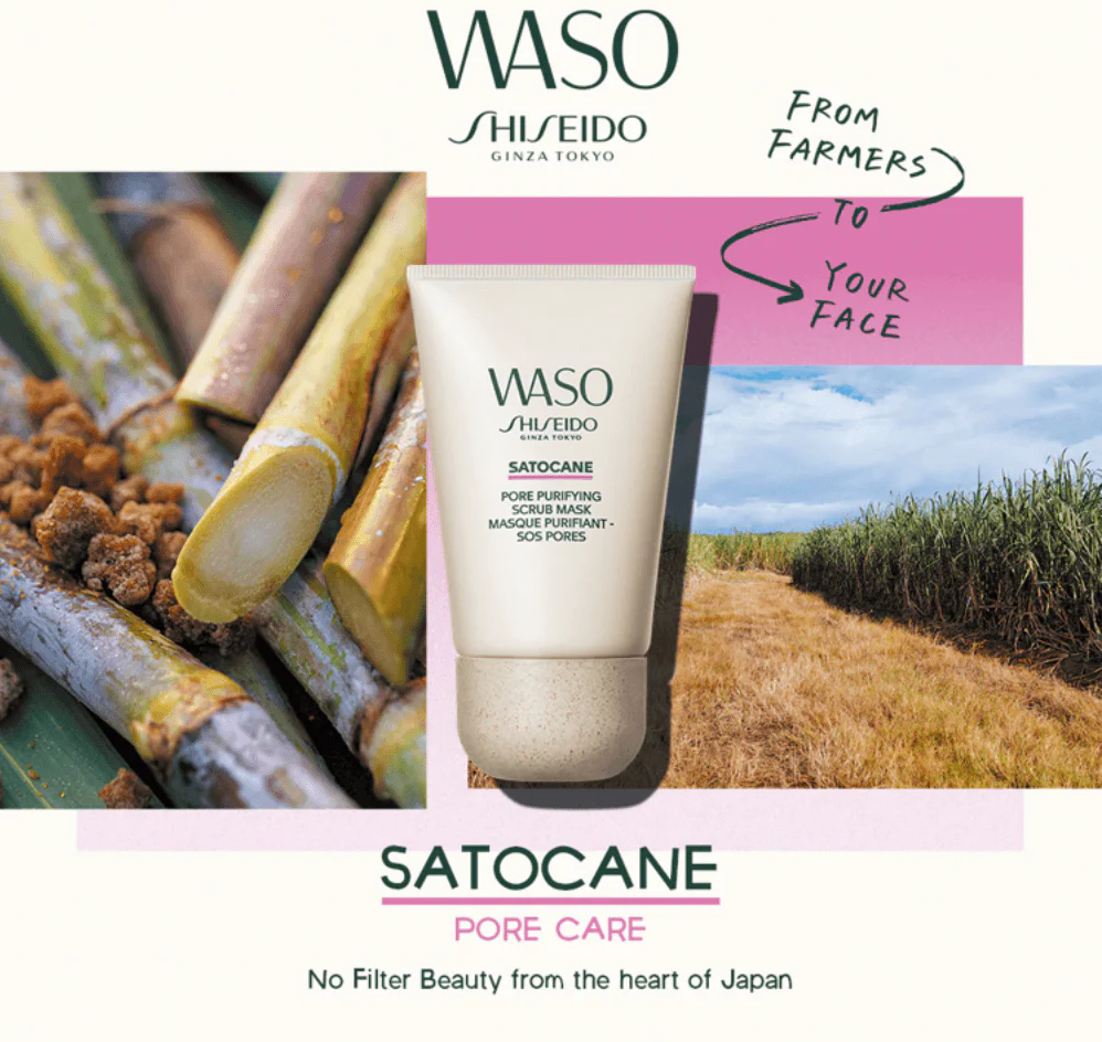 Shiseido Masque Purifiant – Image 5