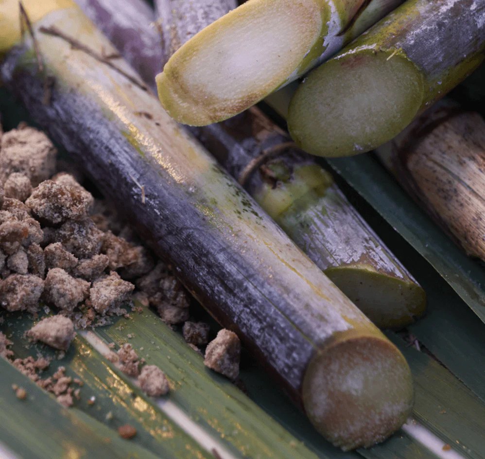 Shiseido Masque Purifiant – Image 3