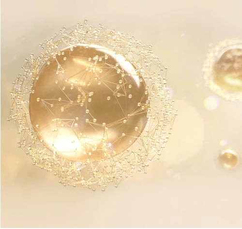 Guerlain Abeille Royale - Lotion – Image 4