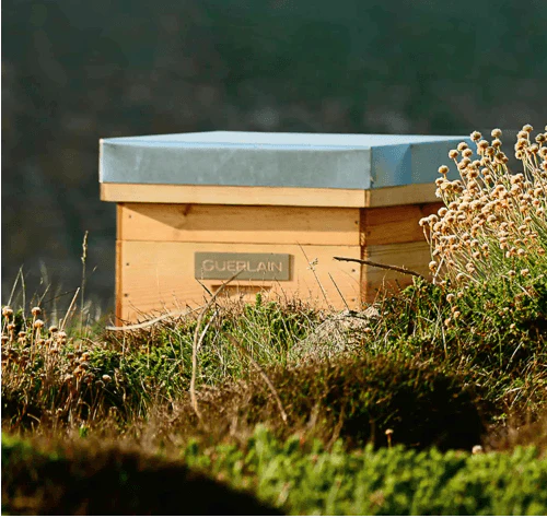 Guerlain Abeille Royale - Lotion – Image 6