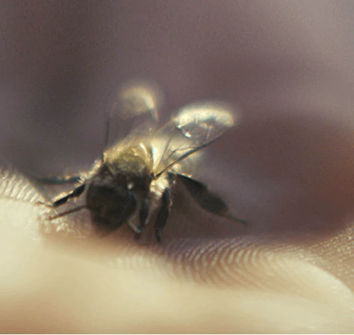 Guerlain Abeille Royale Honey Cataplasm Mask – Image 4