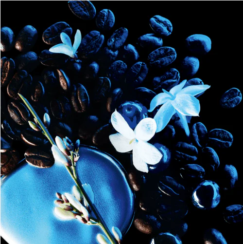 Yves Saint Laurent Black Opium - Eau De Parfum Intense – Image 3