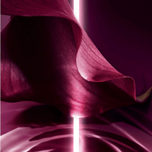 Dior Capture Totale Soin Regard – Image 3