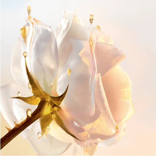 Dior Prestige - Le Sucre De Gommage – Image 4