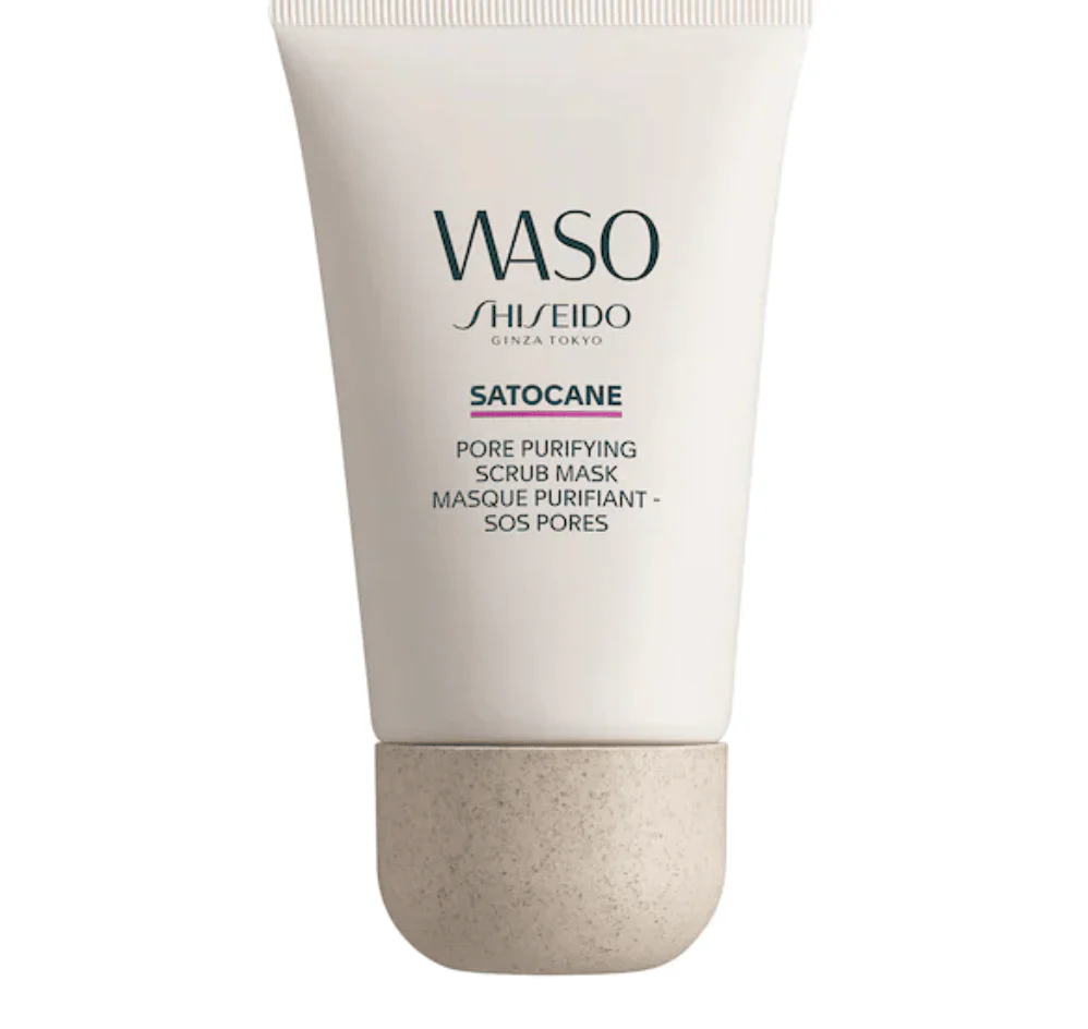Shiseido Masque Purifiant