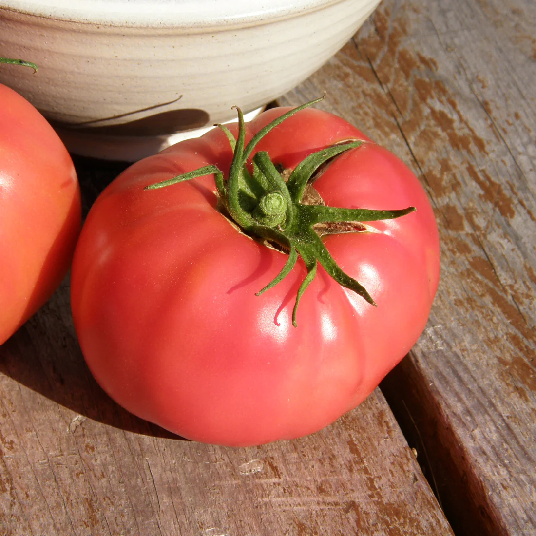 Tomate standard Savignac Bio (semences)
