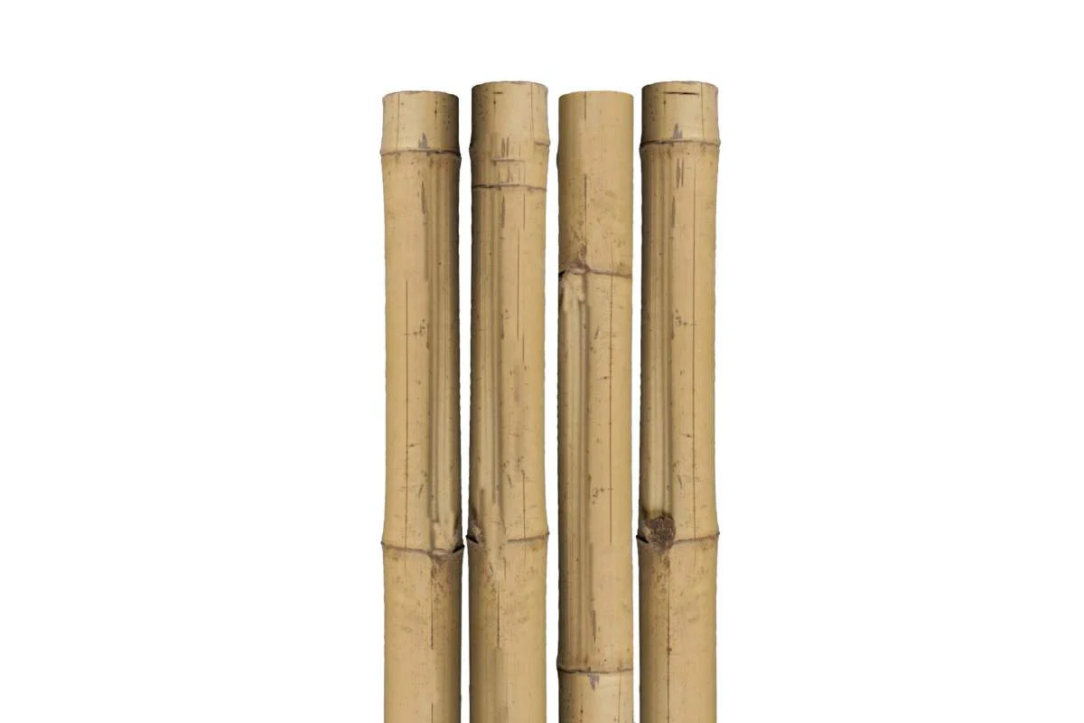 Tuteur en bambou naturel 96" x 2.4"