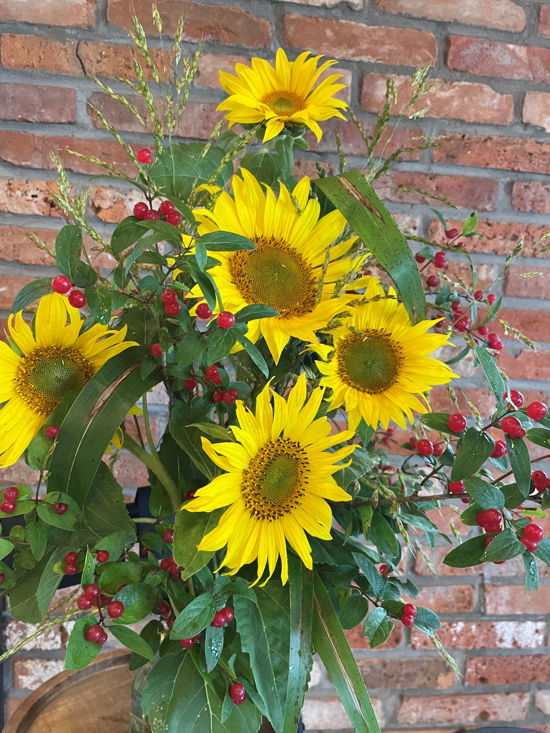 Tournesol de champs en auto-cueillette – Image 2