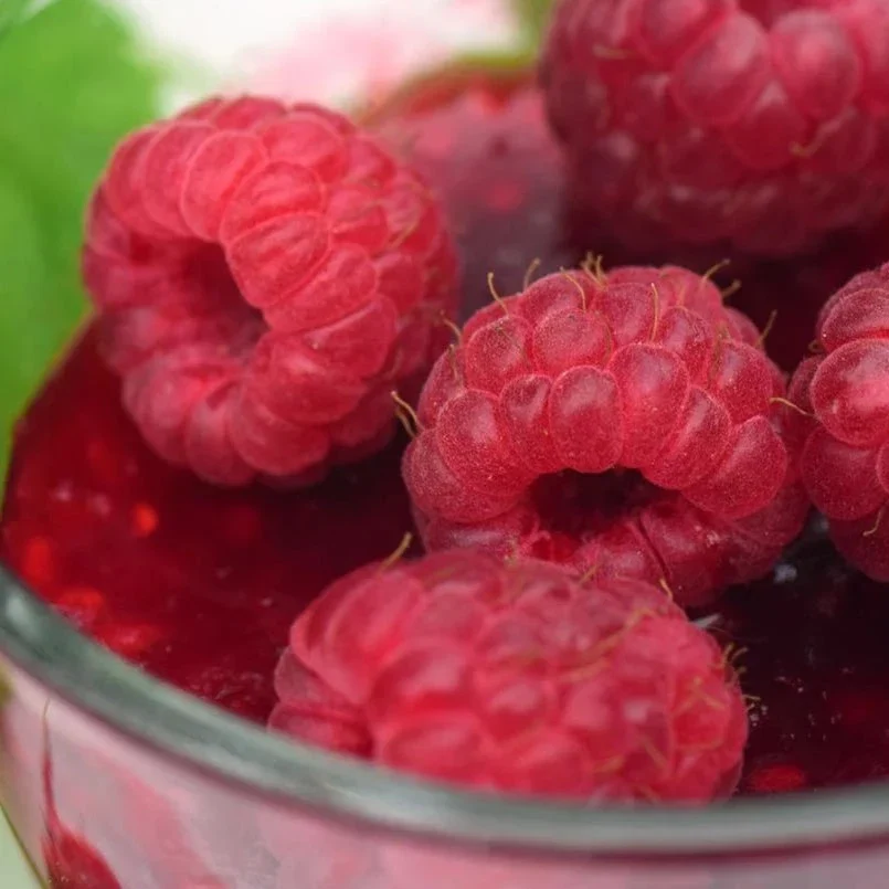 Confiture de framboises Enracinés par Françoise