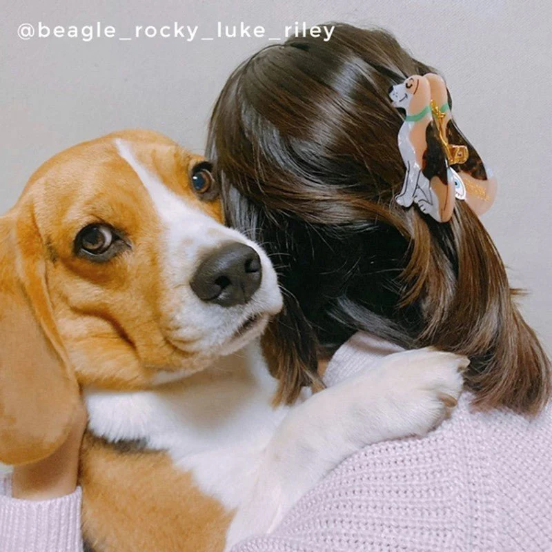 Griffe de cheveux de Beagle – Image 2