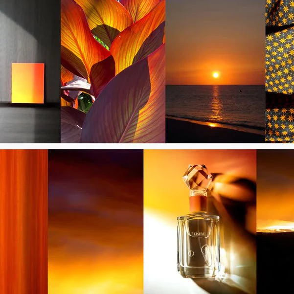 Ambre Nomade Extrait de Parfum – Image 2