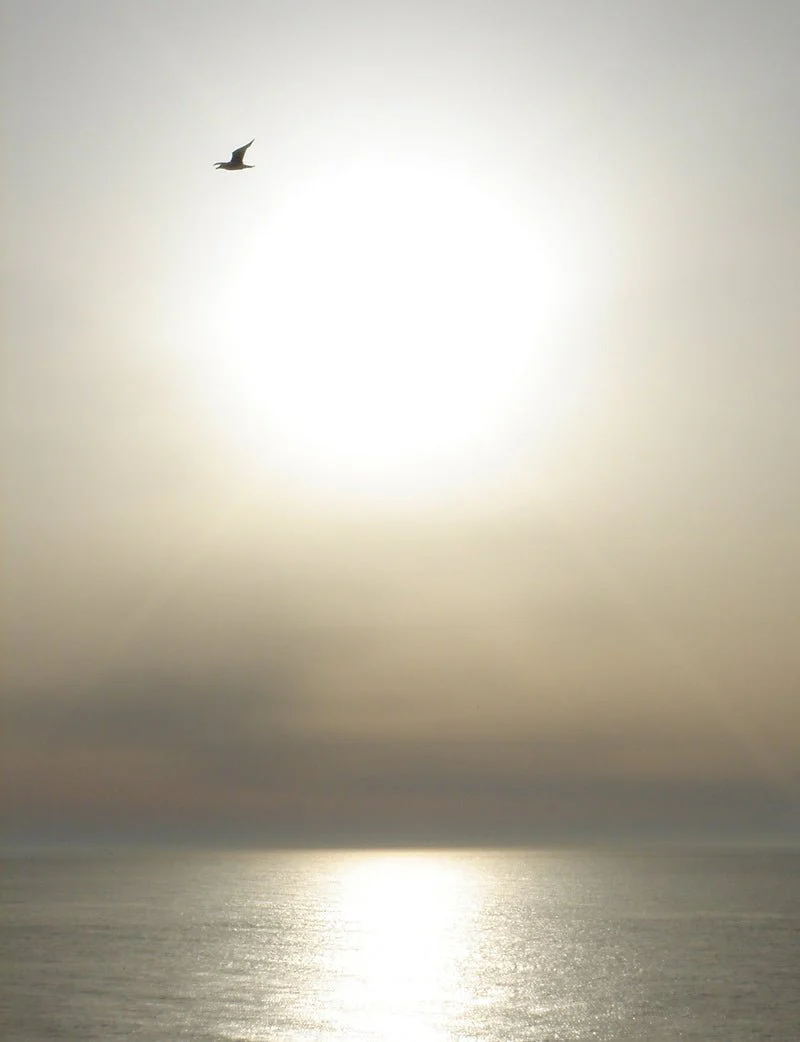 Jasmin Paradis Extrait de Parfum – Image 7