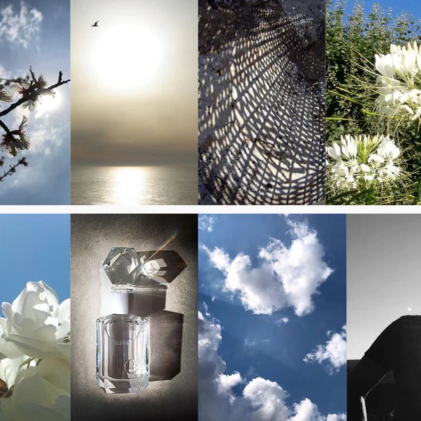 Jasmin Paradis Extrait de Parfum – Image 3