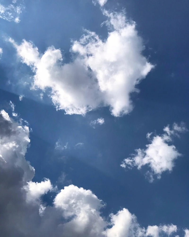 Jasmin Paradis Extrait de Parfum – Image 4