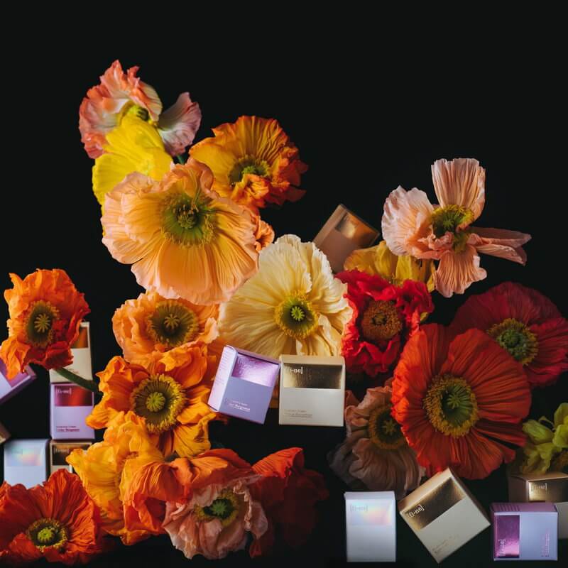 Déodorant Cèdre Bergamote Tube 40 g – Image 6