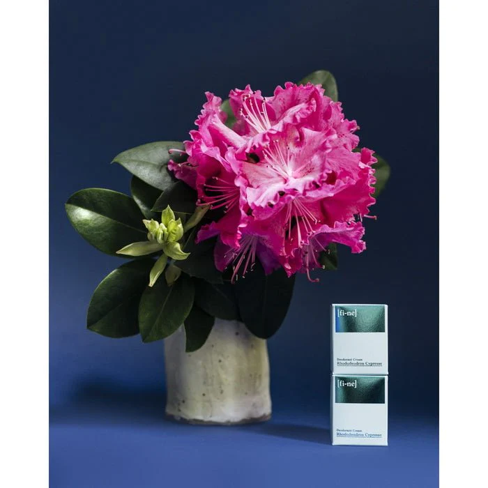 Déodorant Rhododendron Cyprès 30 g – Image 2