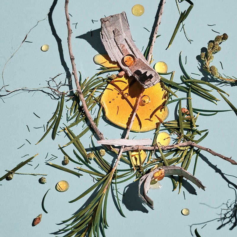 Sale Eau de Parfum Hinoki – Image 3