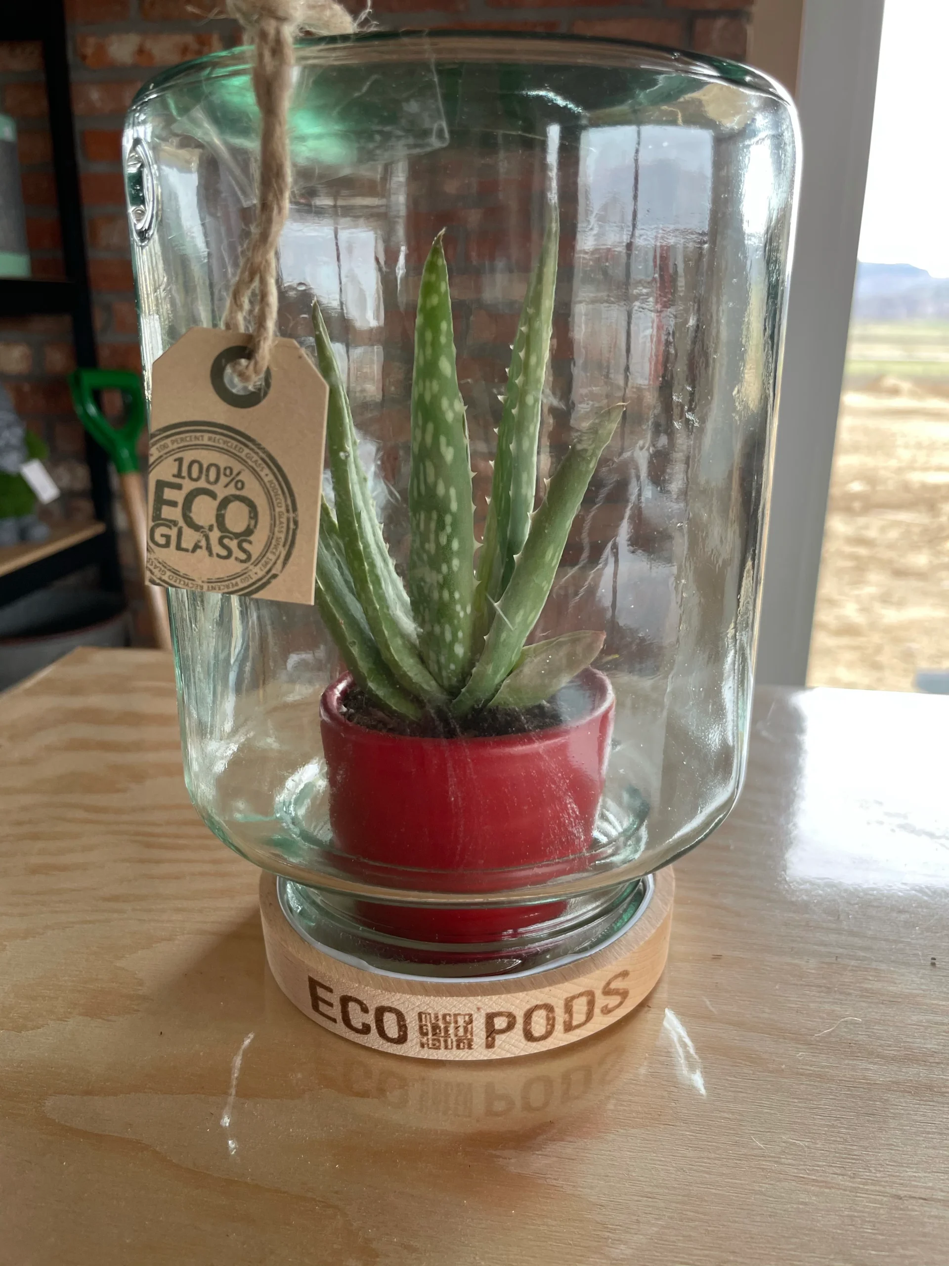 Terrarium debout – Image 2