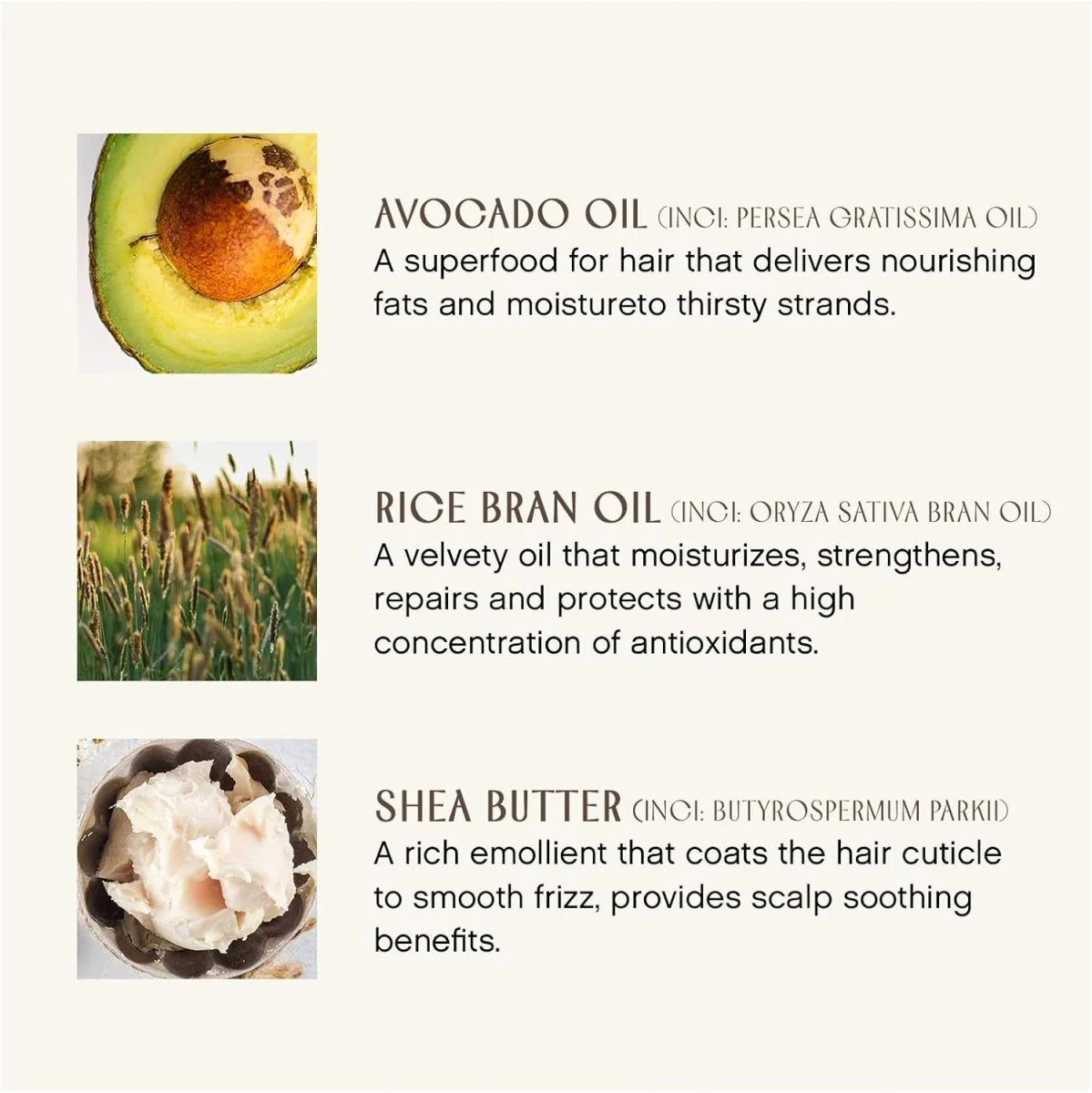 Revitalisant Quotidien Éclat Couleur – Image 4