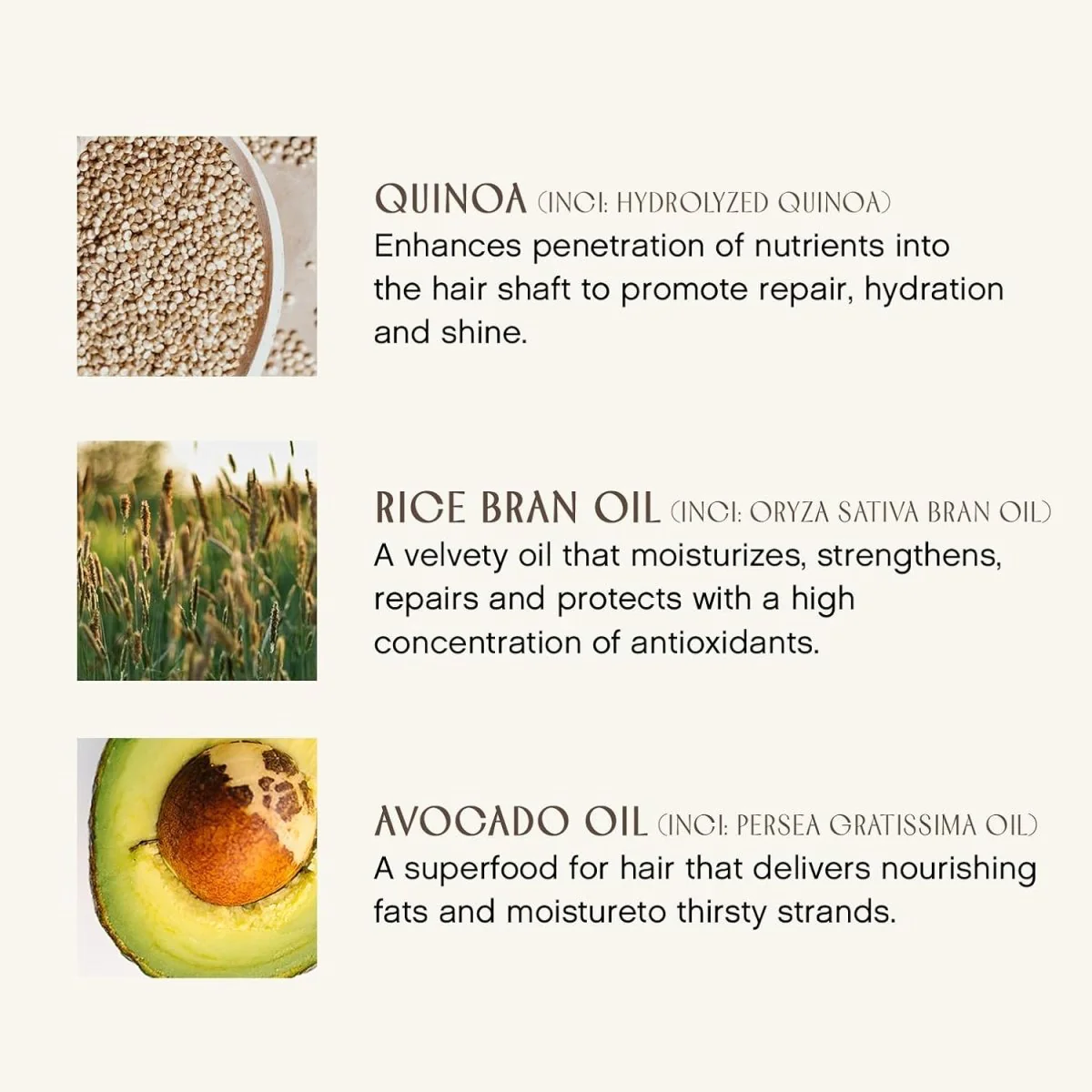 Bain de Cheveux Pure Harmonie – Image 4