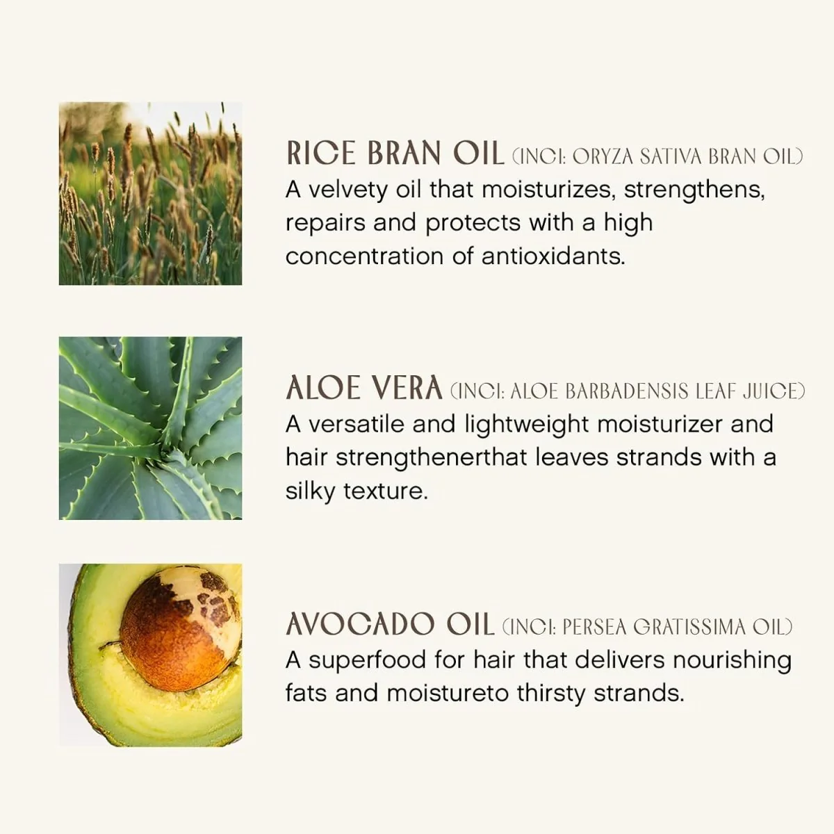 Après-shampooing quotidien Pure Inspiration – Image 4