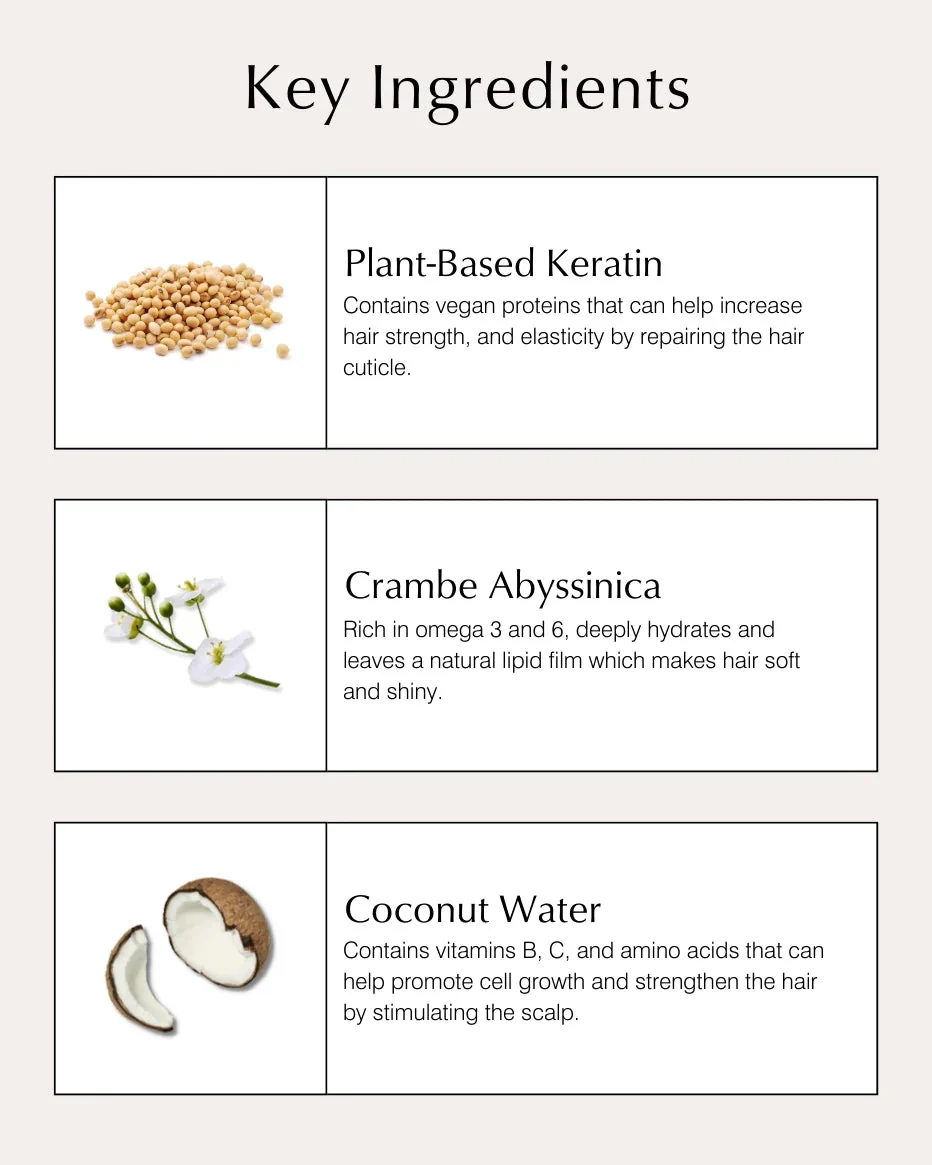 Masque Capillaire de Nuit à la Kératine & Crambe Abyssinica 125ml – Image 3