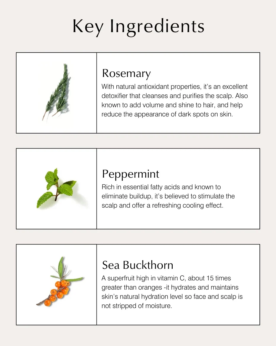 Revitalisant volumateur au romarin et à la menthe poivrée – Image 4