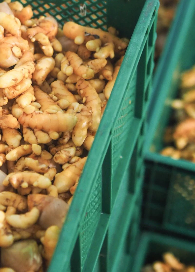 Extrait naturel de plantes Oxymel Ayurveda 150 ml – Image 2