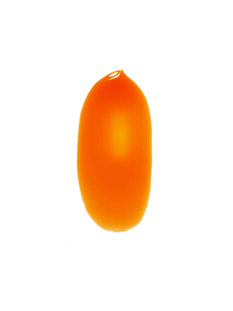 Sérum Solaire Concentré 15 ml – Image 5