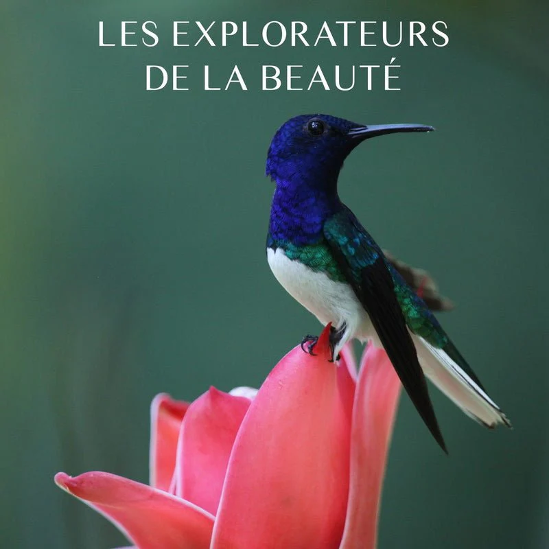 Brume Hydratante Aux Fleurs Méditerranéennes – Image 6