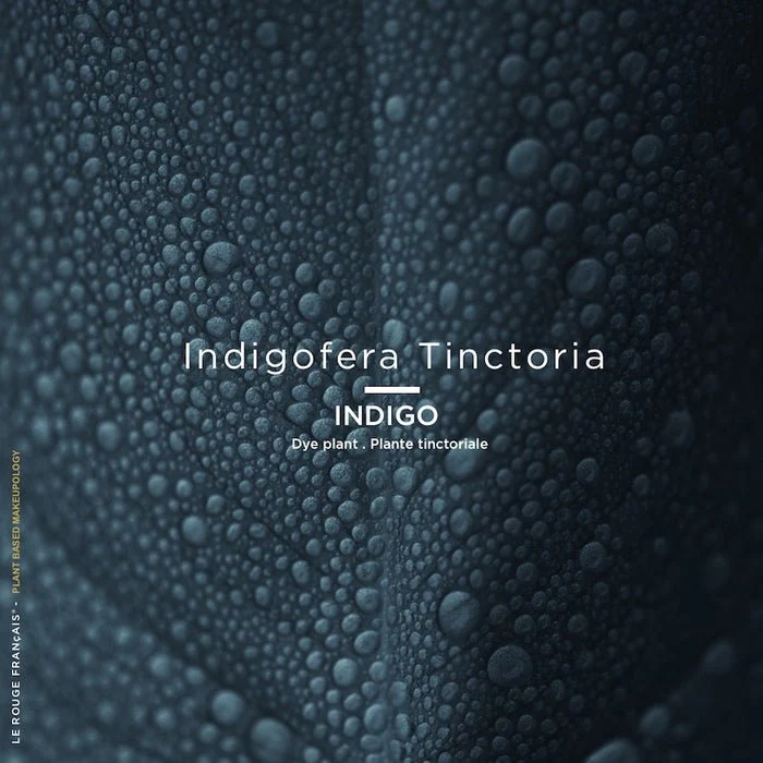 Le Mascara 410 Le Noir Cassiopée – Image 5