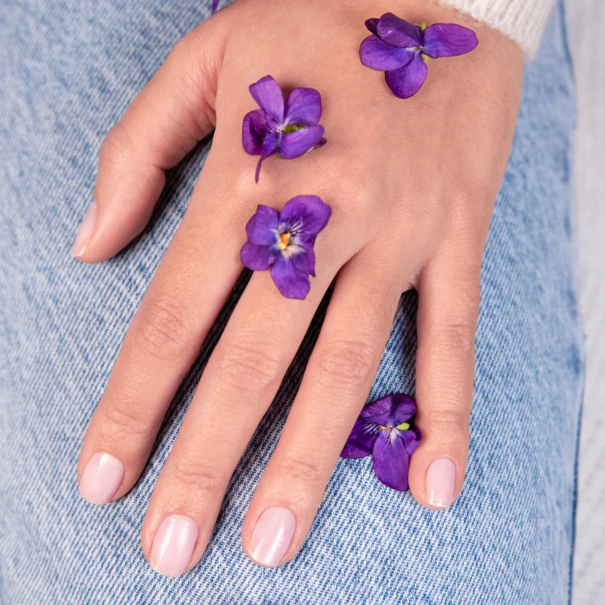 Hortensia 15 ml – Image 3