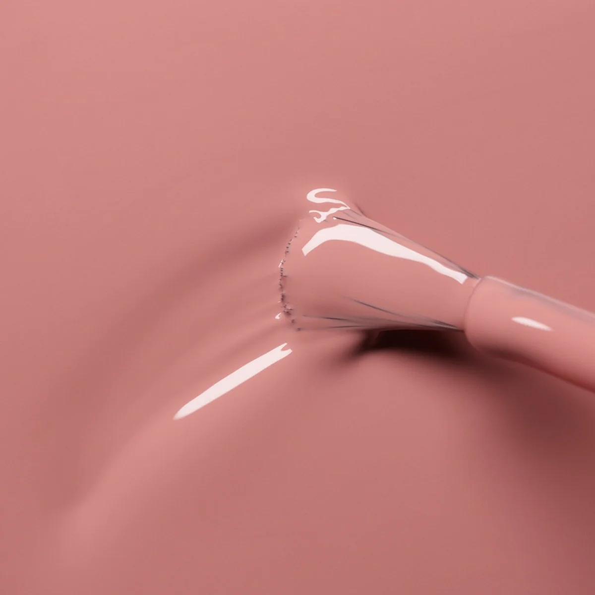 Rose Ancienne 15 ml – Image 4