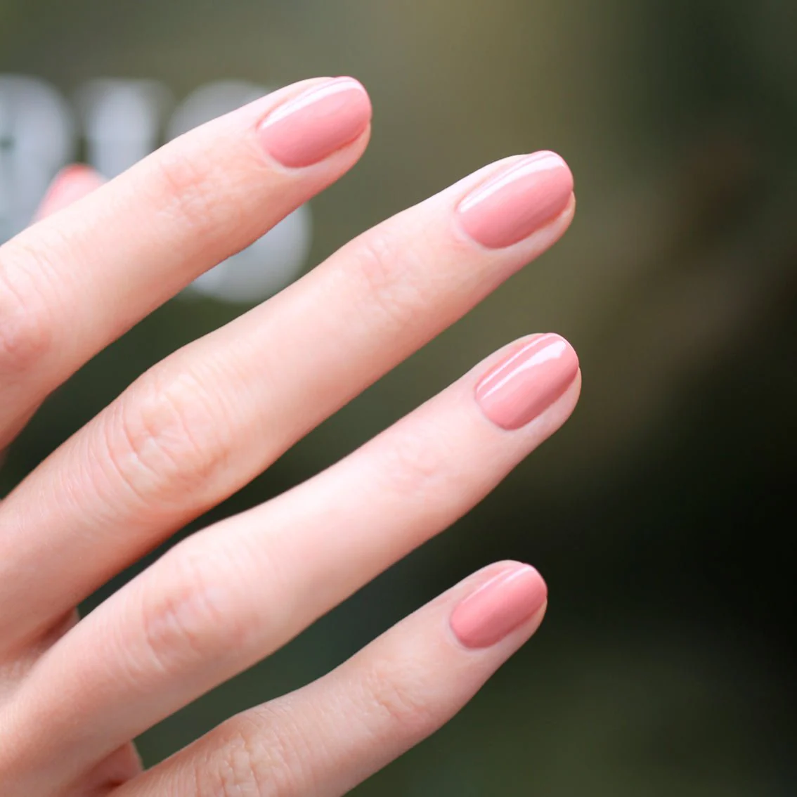 Rose Ancienne 15 ml – Image 3