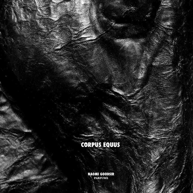 Eau de Parfum Corpus Equus – Image 2