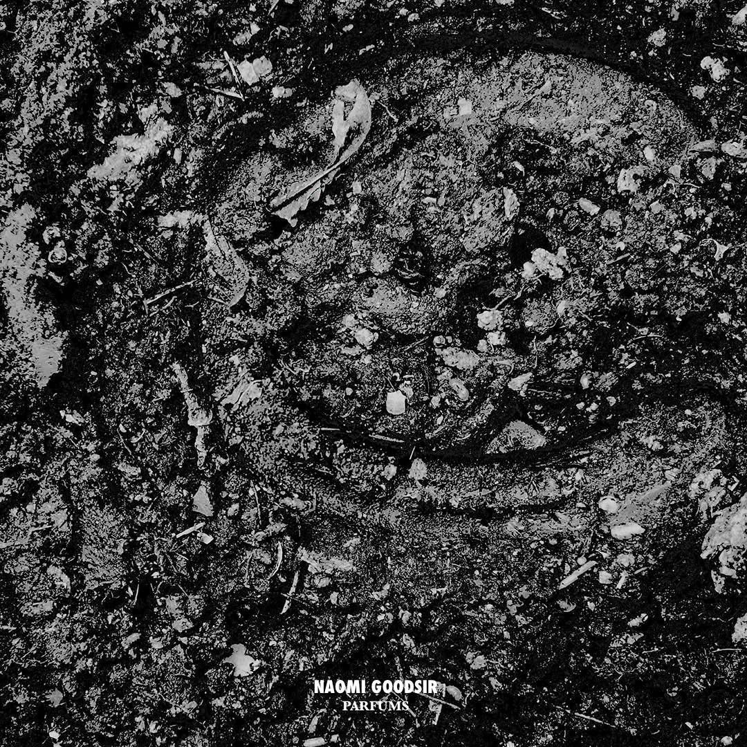 Eau de Parfum Corpus Equus – Image 3