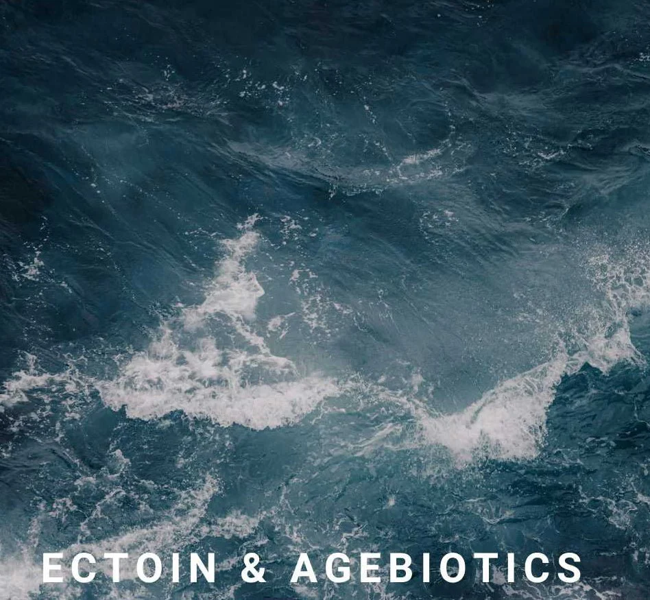 Sérum Exo Timeless ReGen 30 ml – Image 6