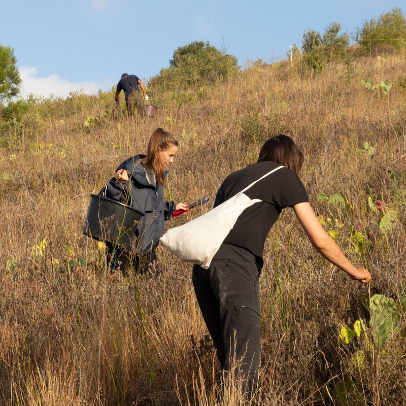 French Precious Contour Yeux & Lèvres 6 ml – Image 8